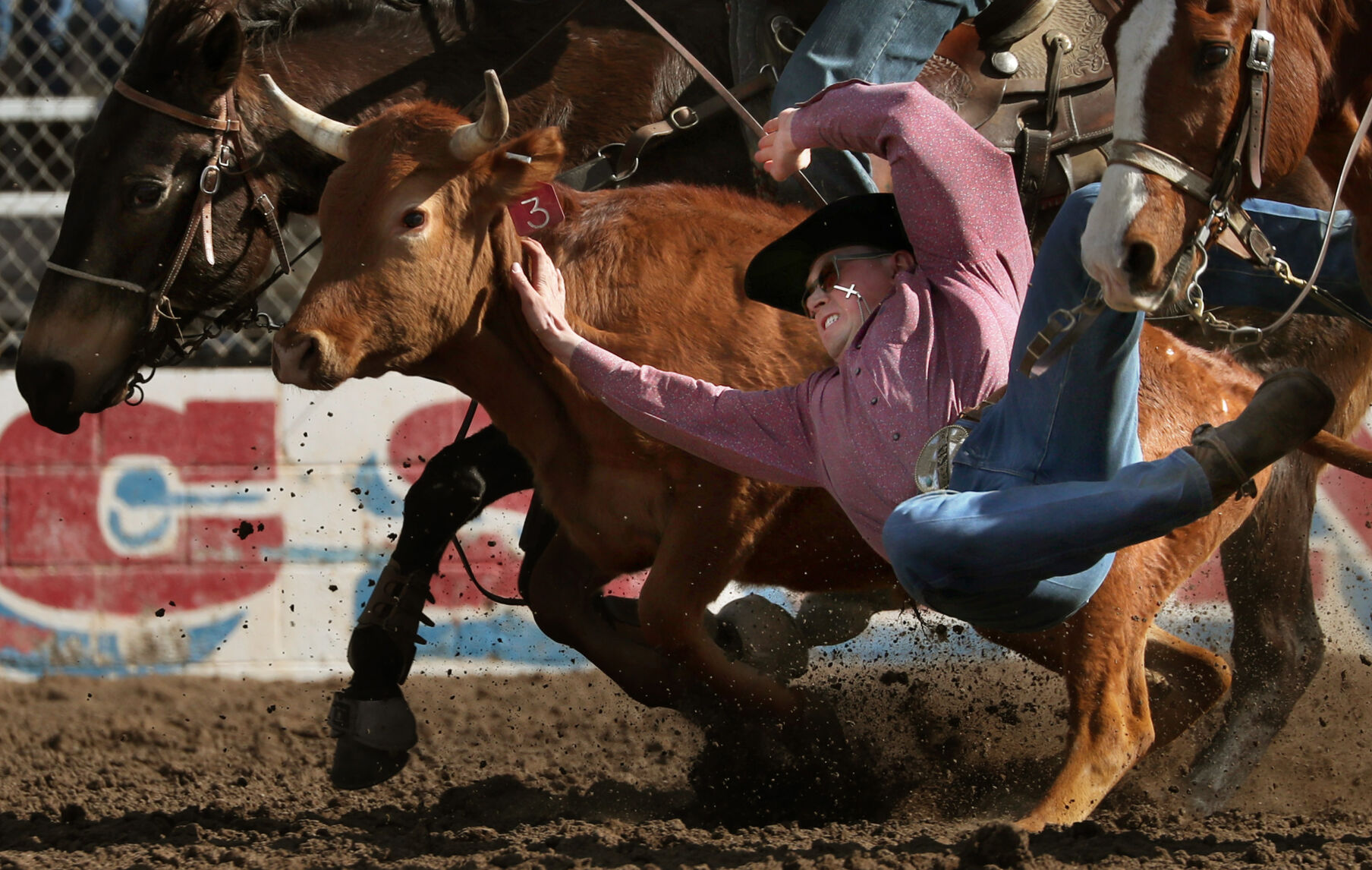 Fiesta de los Vaqueros